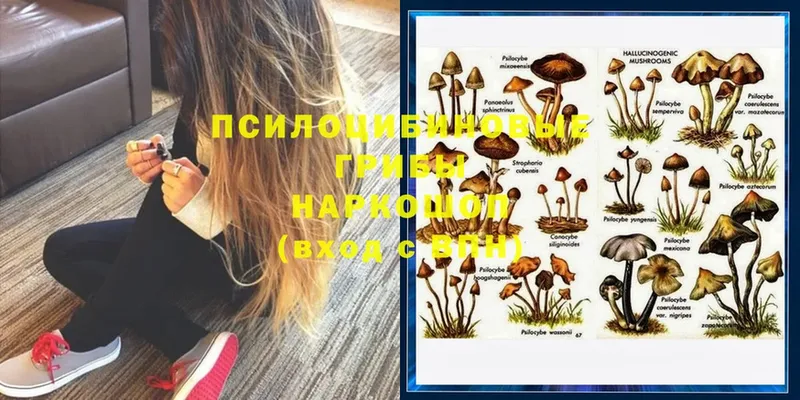 Псилоцибиновые грибы MAGIC MUSHROOMS  Карталы 